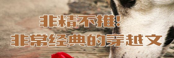 非精不推！非常经典的穿越文
