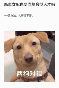 《恶毒女配也要当复合型人才吗》